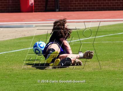 Thumbnail 1 in Carrboro vs. Forbush (NCHSAA 2A Final) photogallery.