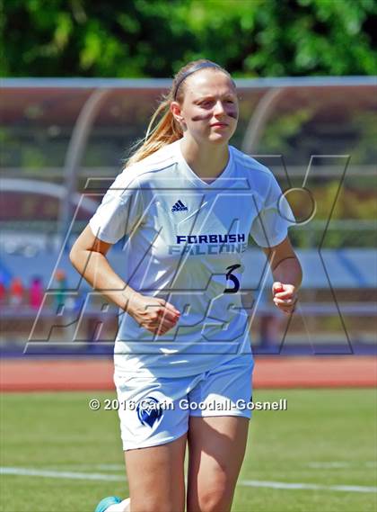 Thumbnail 3 in Carrboro vs. Forbush (NCHSAA 2A Final) photogallery.