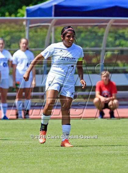 Thumbnail 1 in Carrboro vs. Forbush (NCHSAA 2A Final) photogallery.