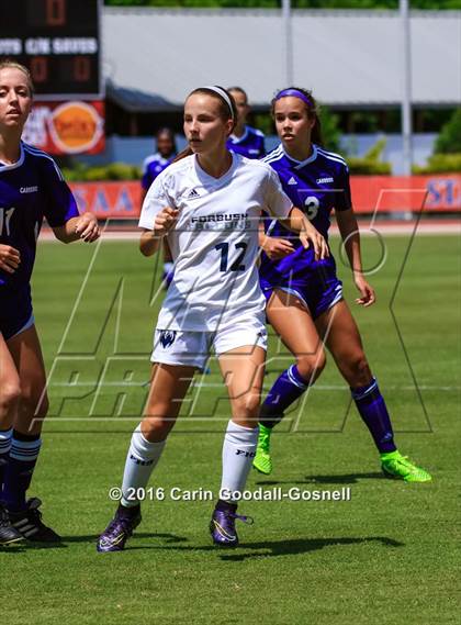 Thumbnail 3 in Carrboro vs. Forbush (NCHSAA 2A Final) photogallery.