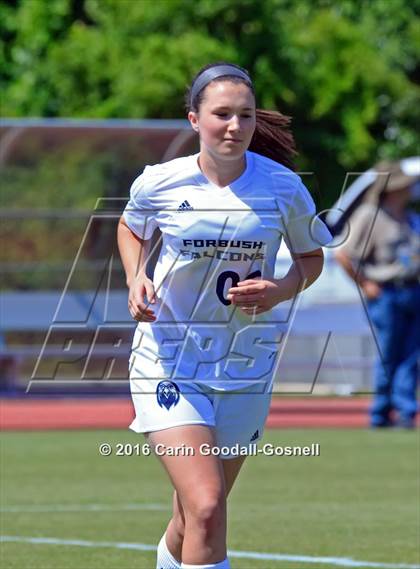 Thumbnail 1 in Carrboro vs. Forbush (NCHSAA 2A Final) photogallery.