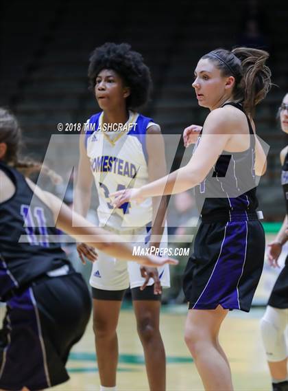 Thumbnail 3 in Northwestern vs Homestead photogallery.