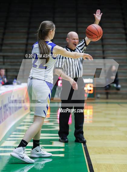 Thumbnail 2 in Northwestern vs Homestead photogallery.