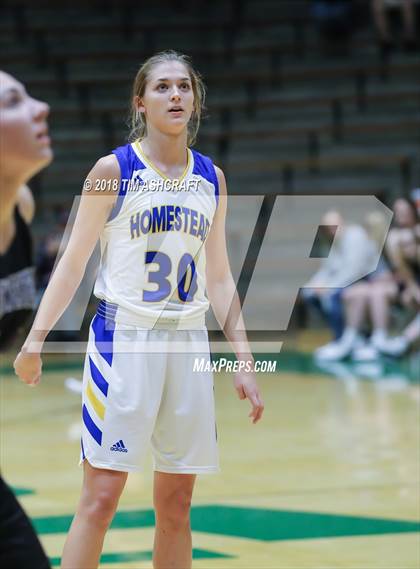 Thumbnail 3 in Northwestern vs Homestead photogallery.