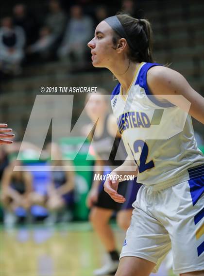 Thumbnail 1 in Northwestern vs Homestead photogallery.