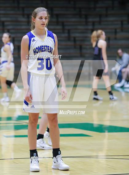 Thumbnail 1 in Northwestern vs Homestead photogallery.