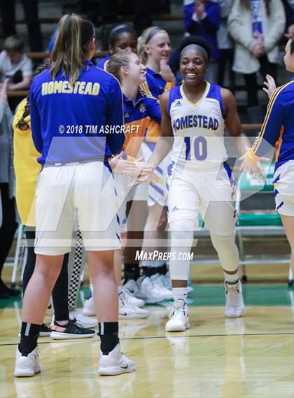 Thumbnail 1 in Northwestern vs Homestead photogallery.