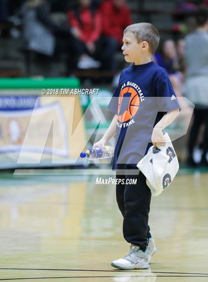 Thumbnail 1 in Northwestern vs Homestead photogallery.