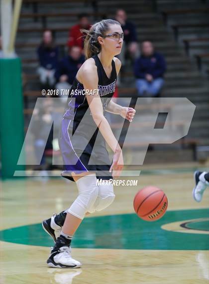 Thumbnail 1 in Northwestern vs Homestead photogallery.