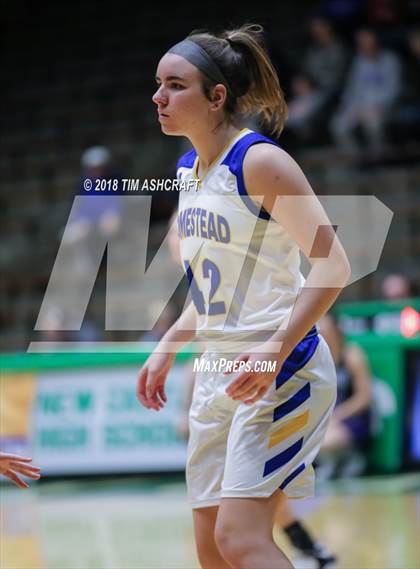 Thumbnail 3 in Northwestern vs Homestead photogallery.