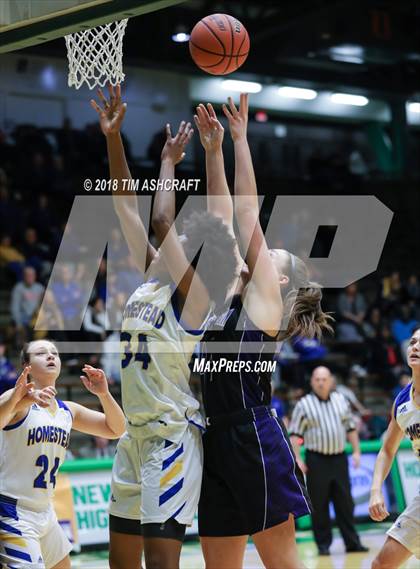Thumbnail 1 in Northwestern vs Homestead photogallery.
