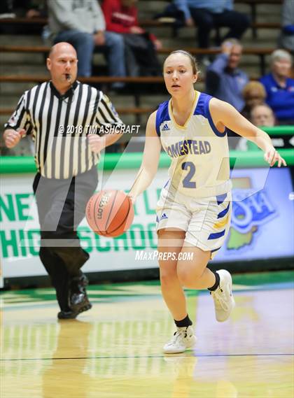 Thumbnail 2 in Northwestern vs Homestead photogallery.