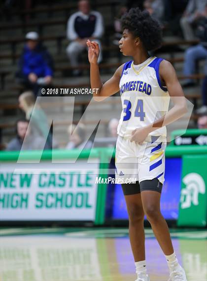 Thumbnail 3 in Northwestern vs Homestead photogallery.