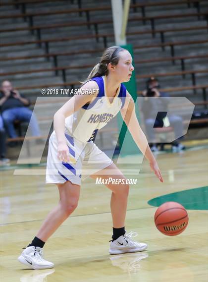 Thumbnail 2 in Northwestern vs Homestead photogallery.