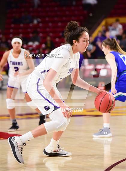 Thumbnail 3 in Millennium vs Xavier (AIA D6 Semifinal) photogallery.