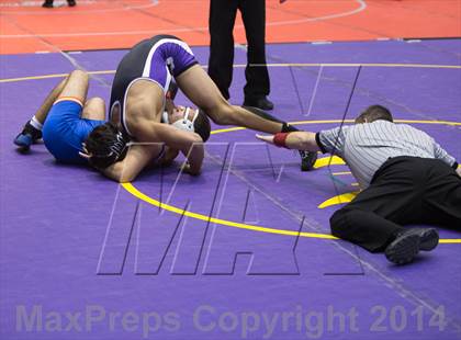 Thumbnail 1 in UIL State Wrestling Championships photogallery.