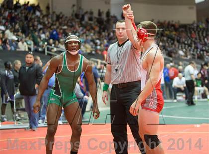 Thumbnail 3 in UIL State Wrestling Championships photogallery.