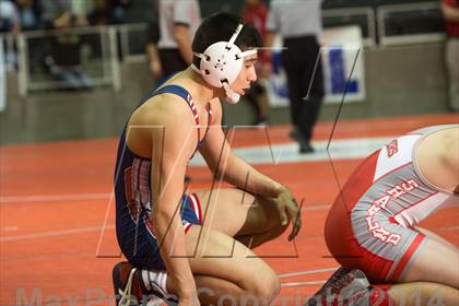 Thumbnail 2 in UIL State Wrestling Championships photogallery.