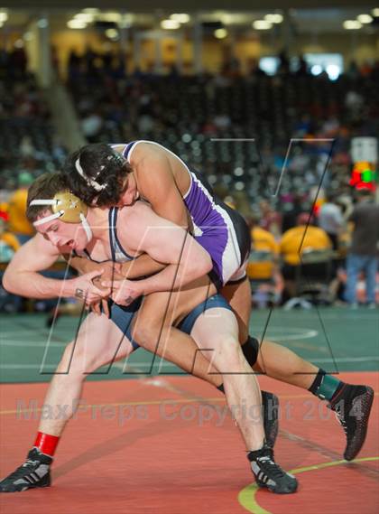 Thumbnail 1 in UIL State Wrestling Championships photogallery.