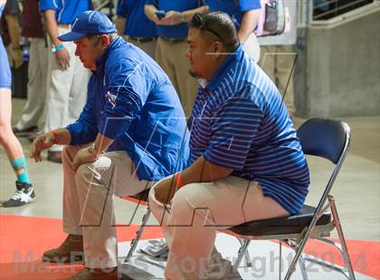 Thumbnail 2 in UIL State Wrestling Championships photogallery.