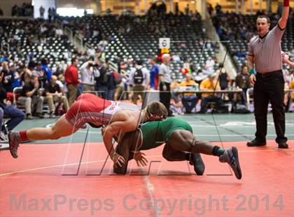 Thumbnail 2 in UIL State Wrestling Championships photogallery.