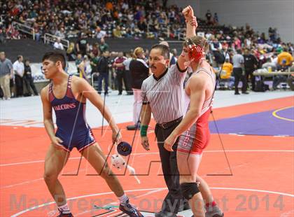 Thumbnail 3 in UIL State Wrestling Championships photogallery.