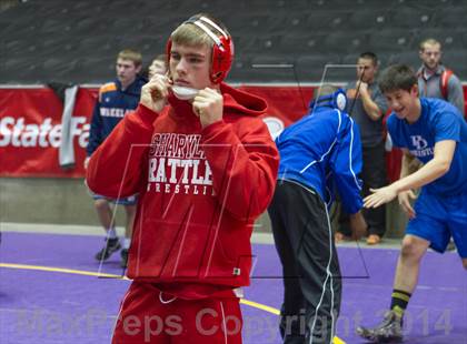 Thumbnail 1 in UIL State Wrestling Championships photogallery.
