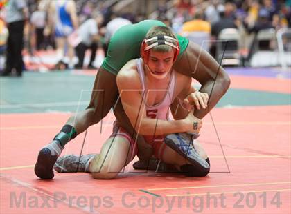 Thumbnail 1 in UIL State Wrestling Championships photogallery.