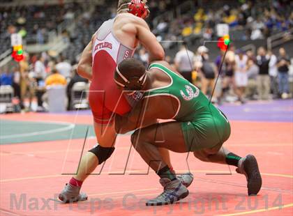 Thumbnail 1 in UIL State Wrestling Championships photogallery.