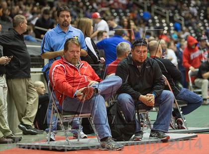 Thumbnail 3 in UIL State Wrestling Championships photogallery.