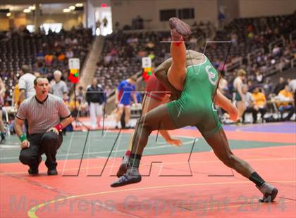 Thumbnail 2 in UIL State Wrestling Championships photogallery.