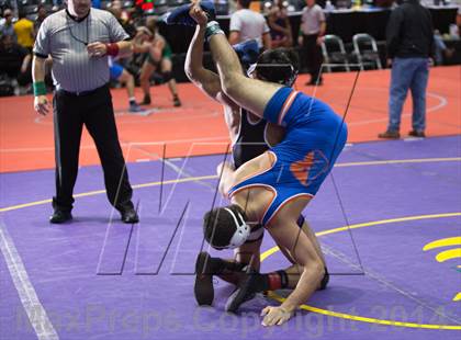 Thumbnail 1 in UIL State Wrestling Championships photogallery.