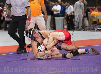 Thumbnail 2 in UIL State Wrestling Championships photogallery.