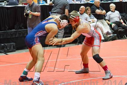 Thumbnail 2 in UIL State Wrestling Championships photogallery.