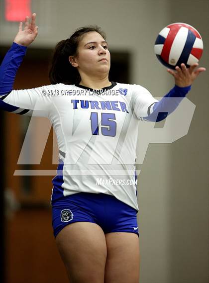 Thumbnail 1 in Reedy vs. Turner photogallery.