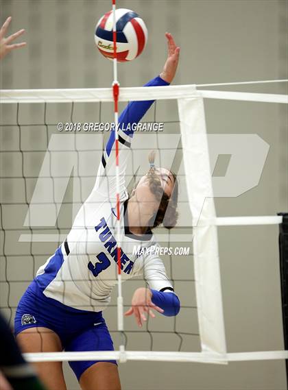 Thumbnail 3 in Reedy vs. Turner photogallery.