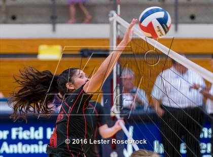 Thumbnail 3 in Stevens vs. Jay photogallery.