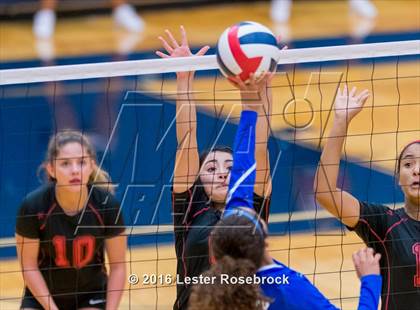 Thumbnail 3 in Stevens vs. Jay photogallery.