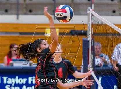 Thumbnail 3 in Stevens vs. Jay photogallery.