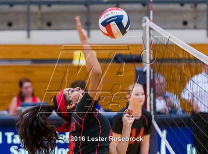 Thumbnail 2 in Stevens vs. Jay photogallery.