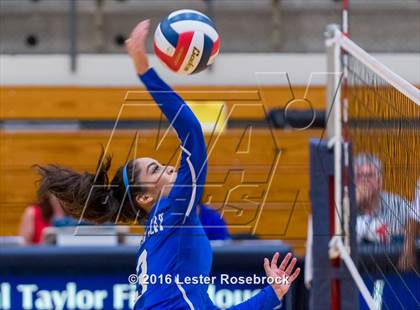 Thumbnail 3 in Stevens vs. Jay photogallery.