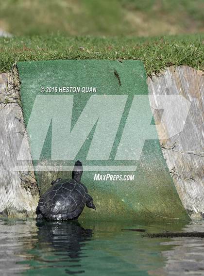 Thumbnail 1 in CIF Southern Section Girls Golf Championships photogallery.