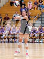 Photo from the gallery "Loveland @ Fort Collins"