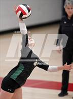 Photo from the gallery "Langley @ McLean"