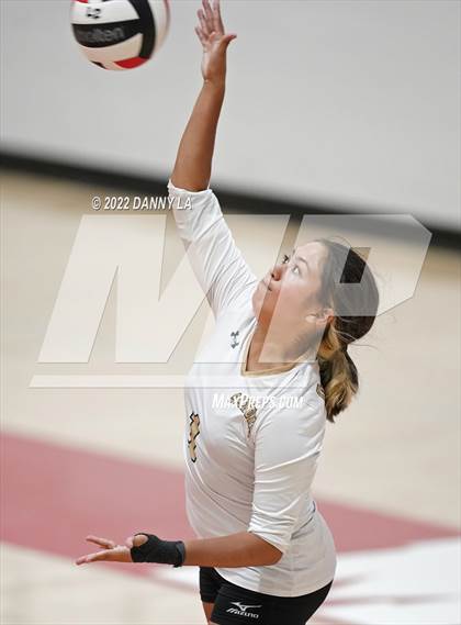 Thumbnail 3 in Langley @ McLean photogallery.
