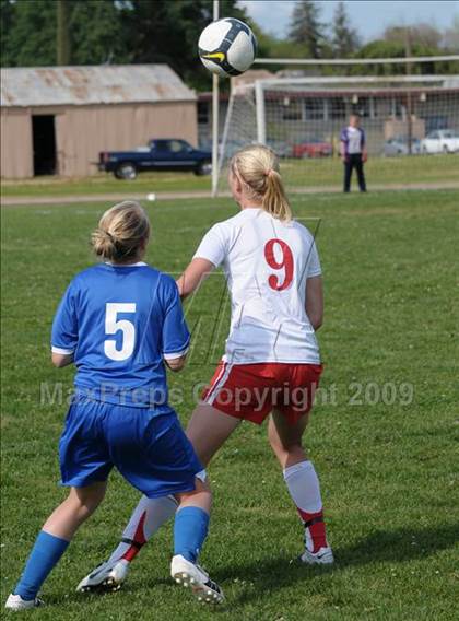 Thumbnail 3 in Del Campo @ Mira Loma photogallery.