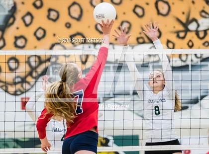 Thumbnail 3 in Jefferson @ Falls Church photogallery.