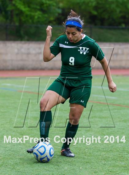 Thumbnail 3 in Wakefield @ Yorktown photogallery.