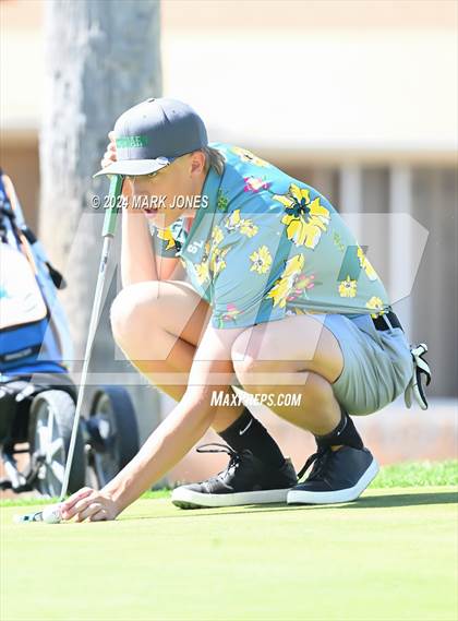 Thumbnail 1 in Metro Invitational Golf Tournament photogallery.