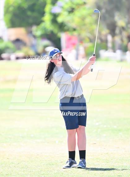 Thumbnail 1 in Metro Invitational Golf Tournament photogallery.